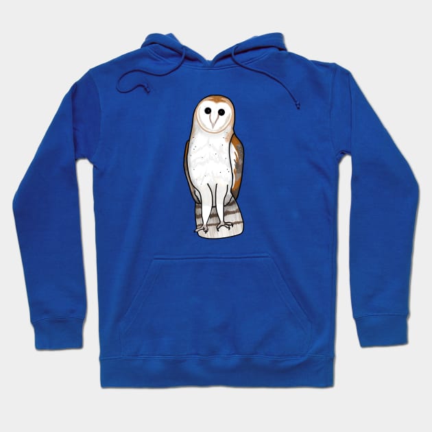 Beautiful Barn Owl (Small Print) Hoodie by Aeriskate